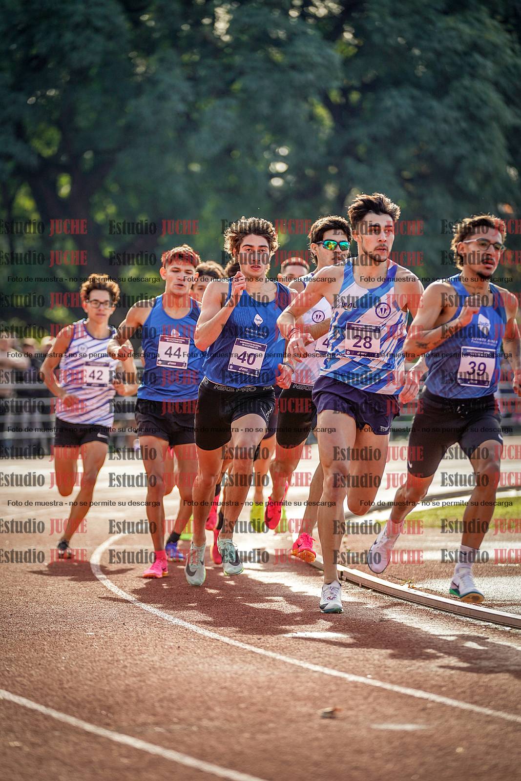 Fotos de los 800 m de varones