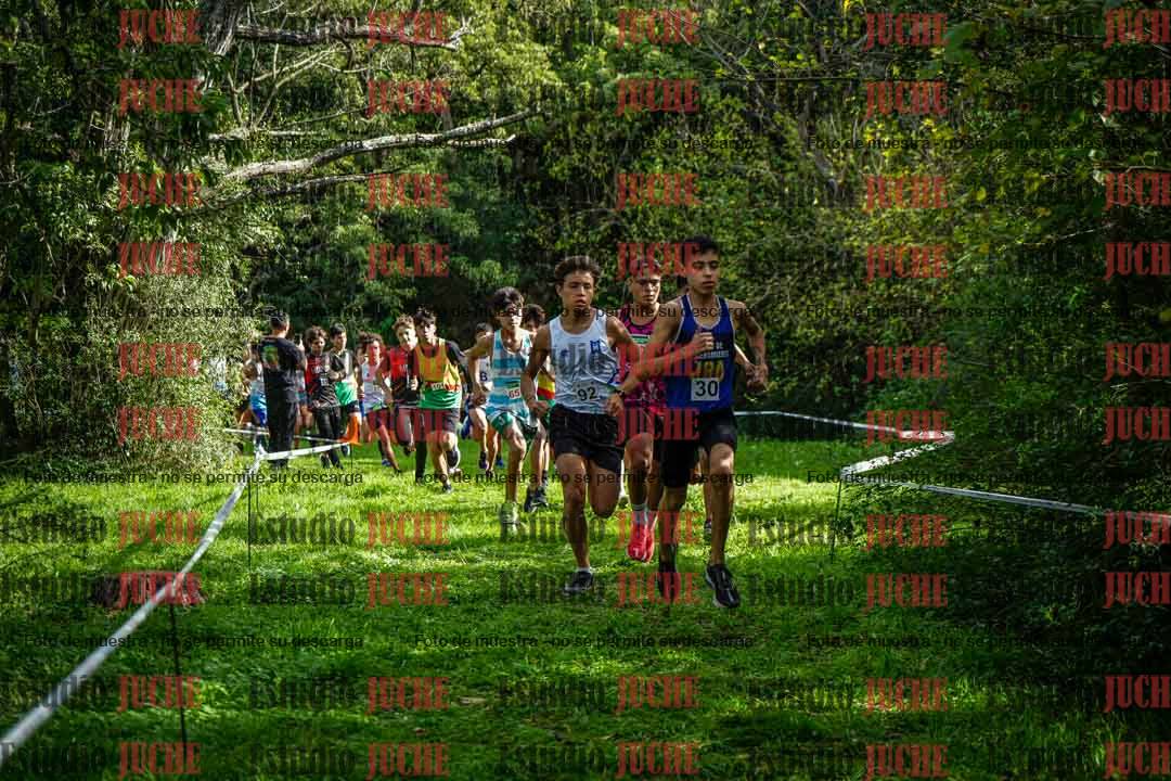 Fotos en el circuito