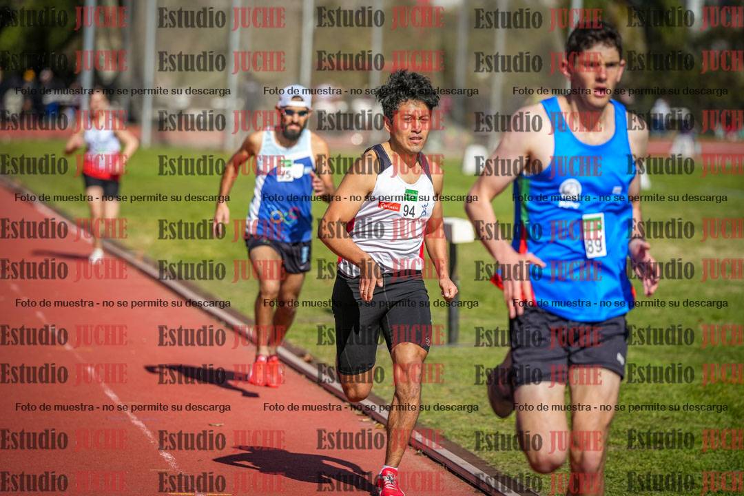 Fotos de los 800 m llanos de varones