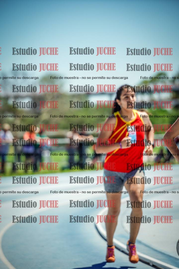 Fotos de los 800 m llanos de mujeres