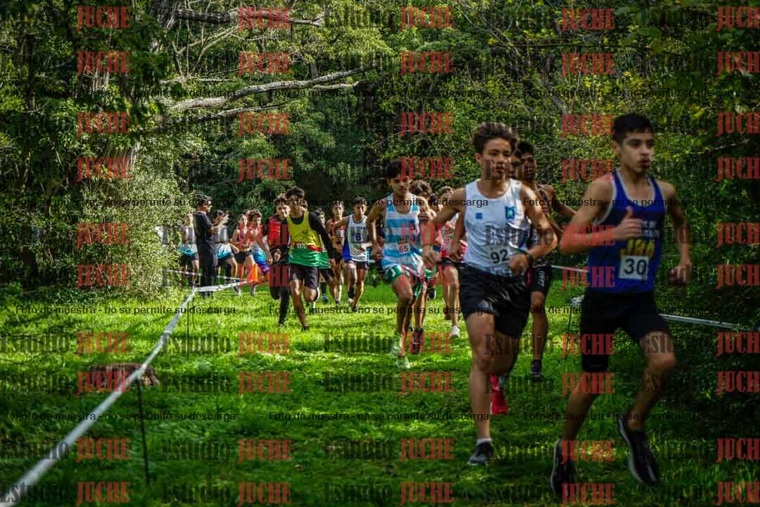 Fotos en el circuito