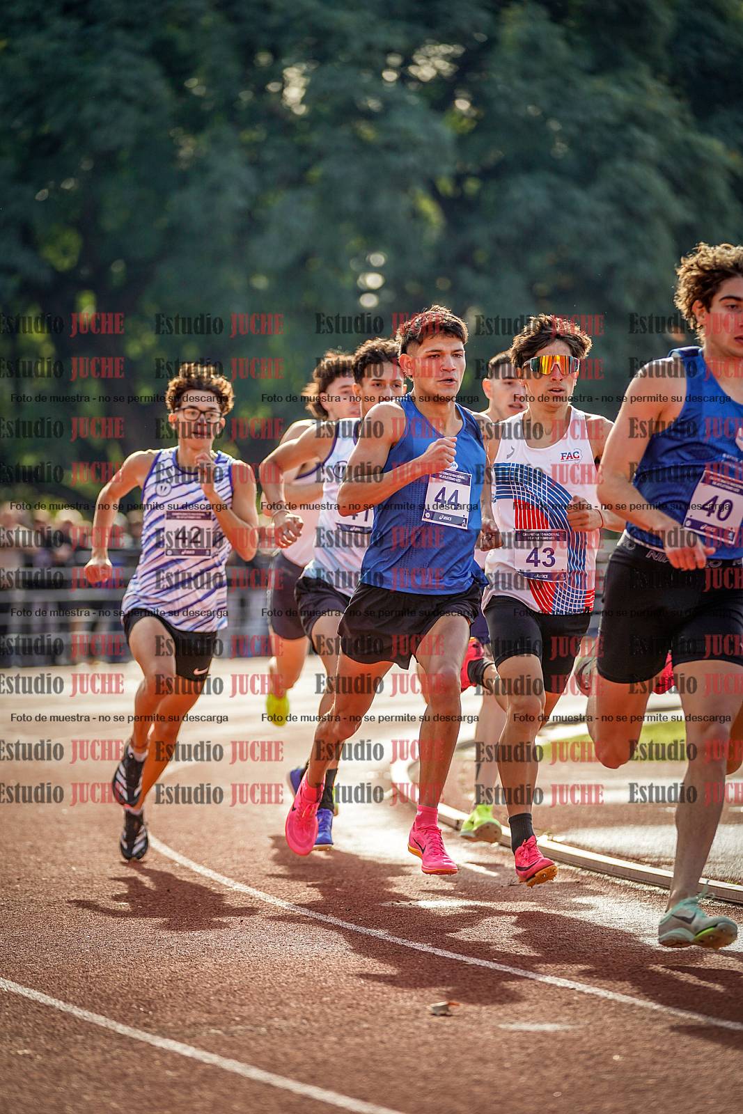 Fotos de los 800 m de varones