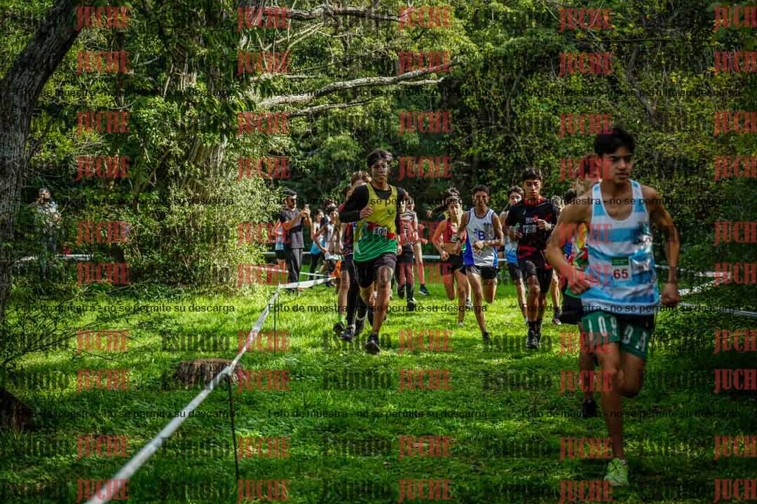 Fotos en el circuito