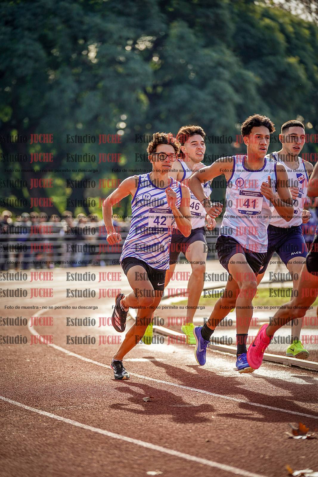 Fotos de los 800 m de varones