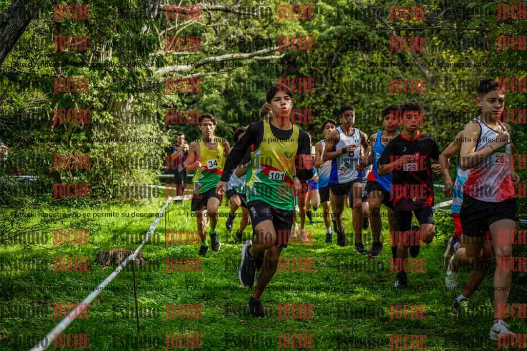 Fotos en el circuito