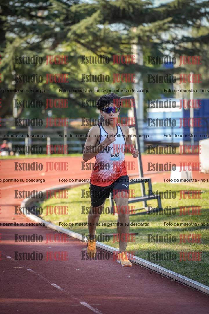 Fotos de los 800 m llanos de varones