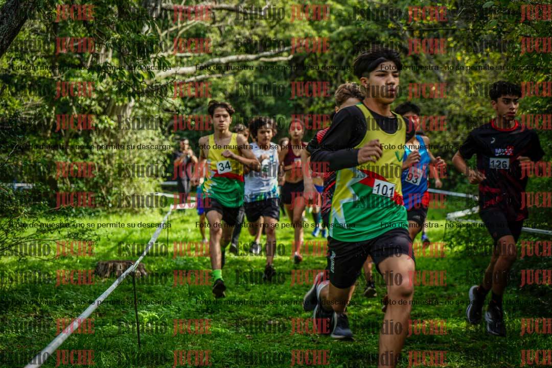 Fotos en el circuito