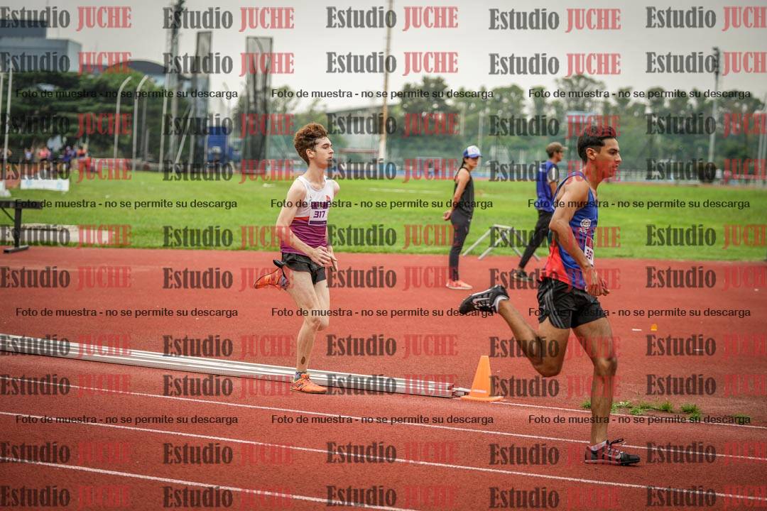 Fotos de los 800 m llanos de varones