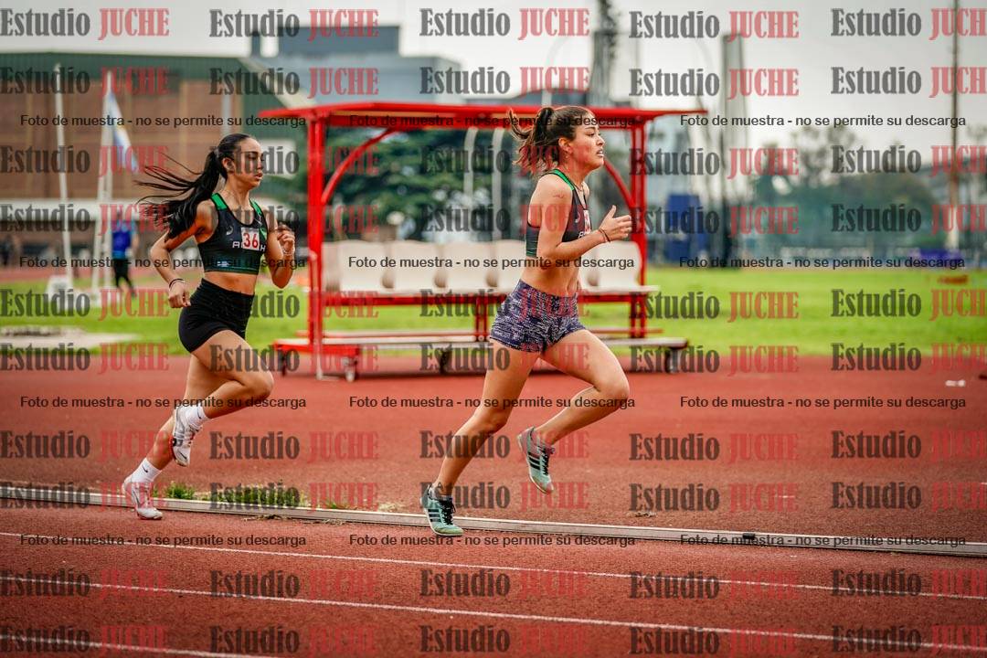 Fotos de los 800 m llanos de mujeres