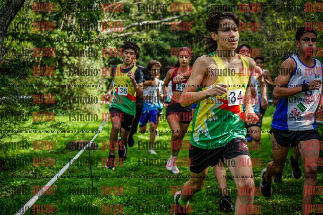 Fotos en el circuito