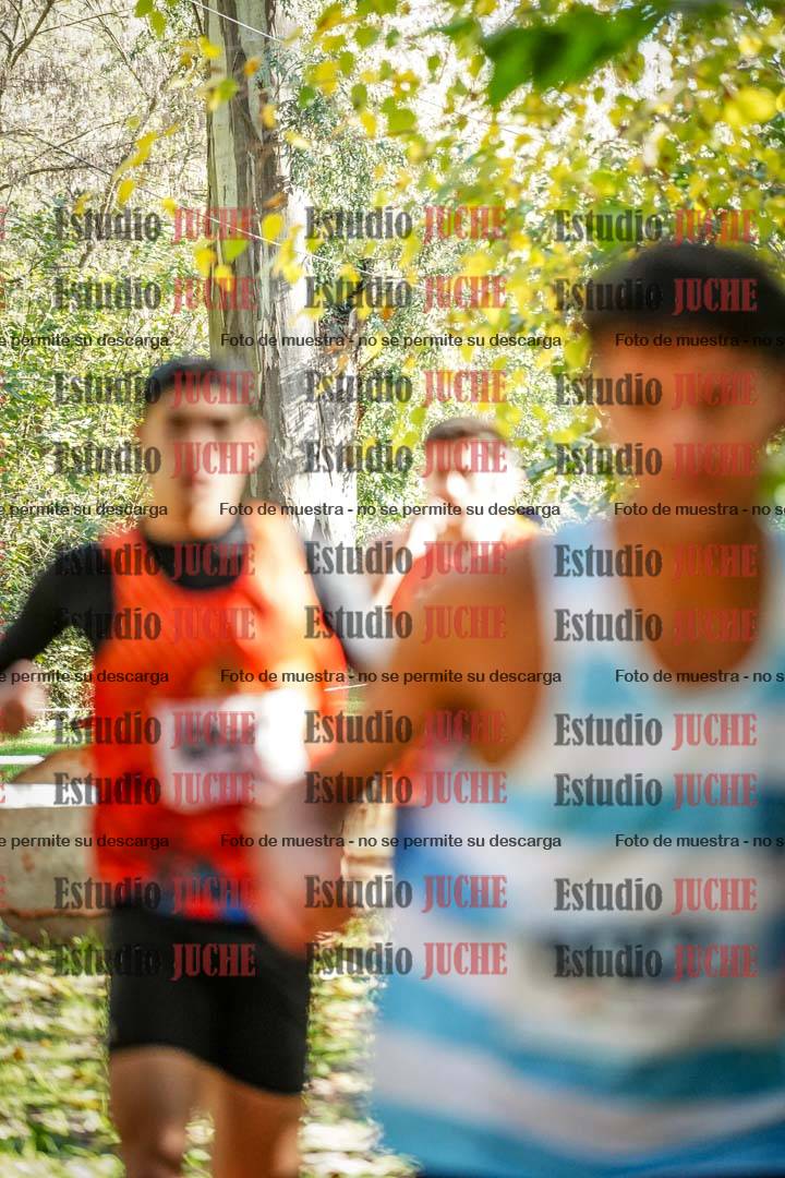Fotos en el cuarto punto del circuito