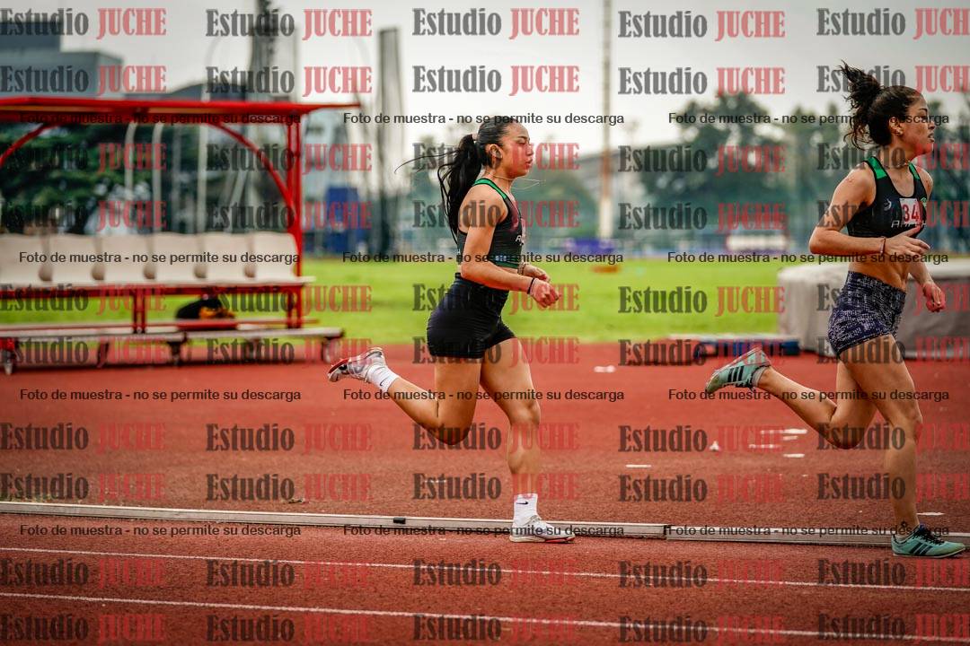 Fotos de los 800 m llanos de mujeres