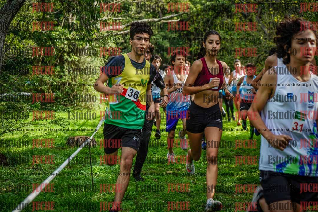 Fotos en el circuito