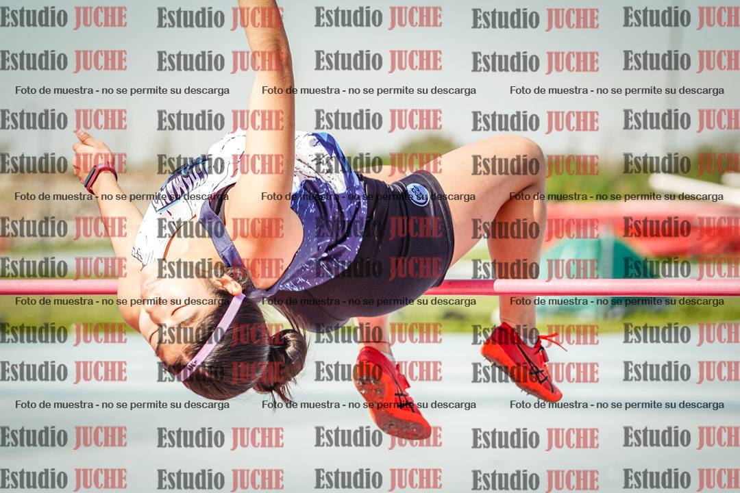 Fotos del salto en alto de mujeres