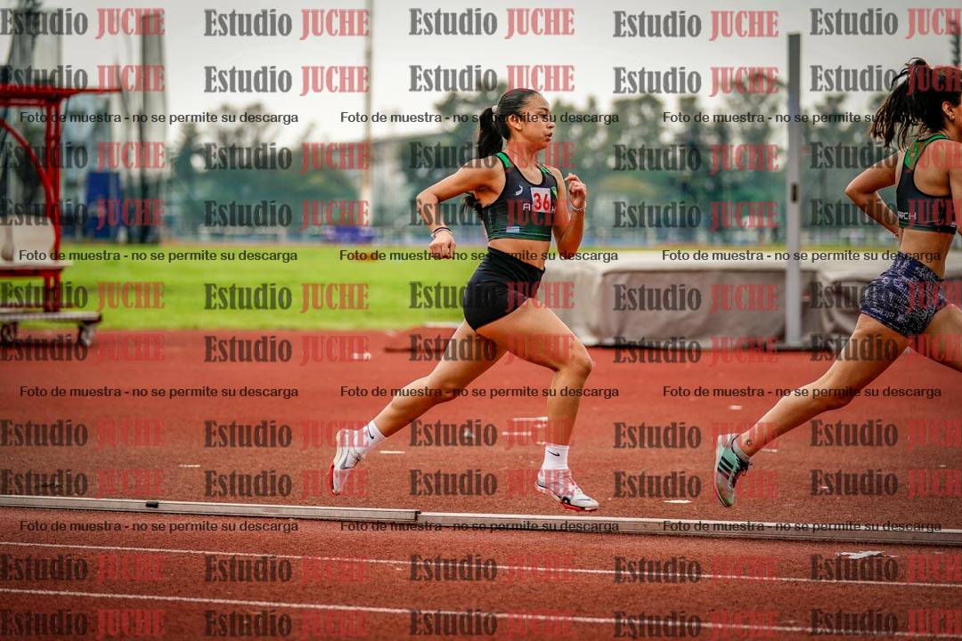 Fotos de los 800 m llanos de mujeres