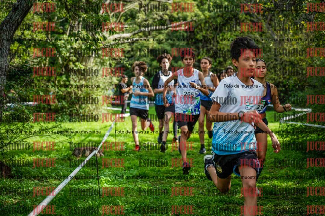 Fotos en el circuito