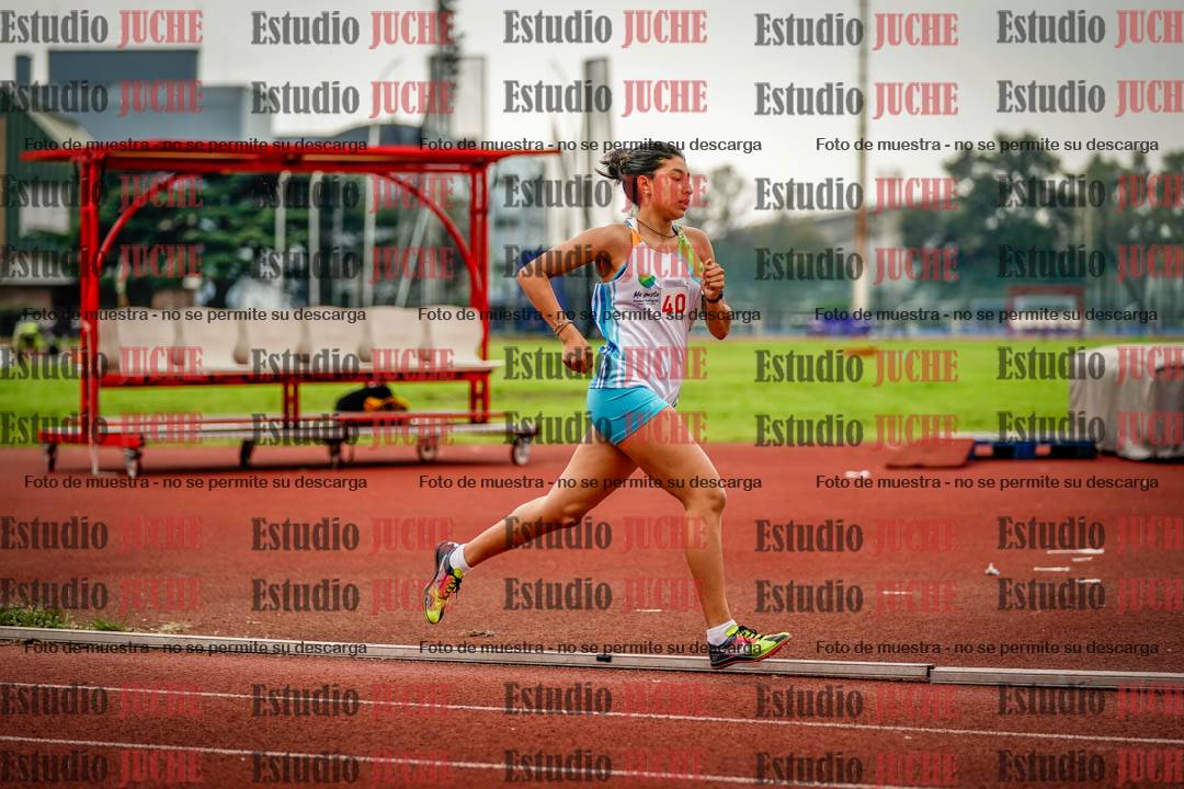 Fotos de los 800 m llanos de mujeres