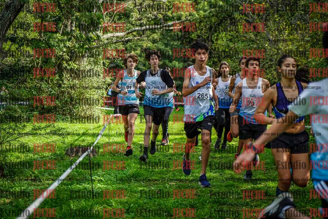 Fotos en el circuito