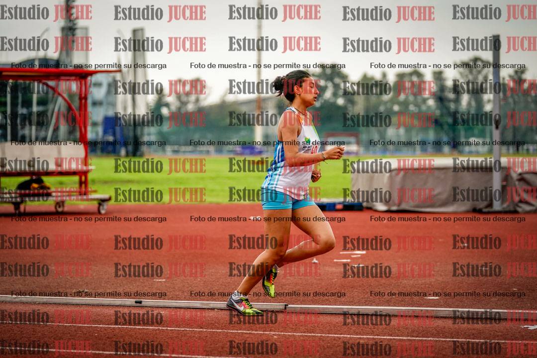 Fotos de los 800 m llanos de mujeres