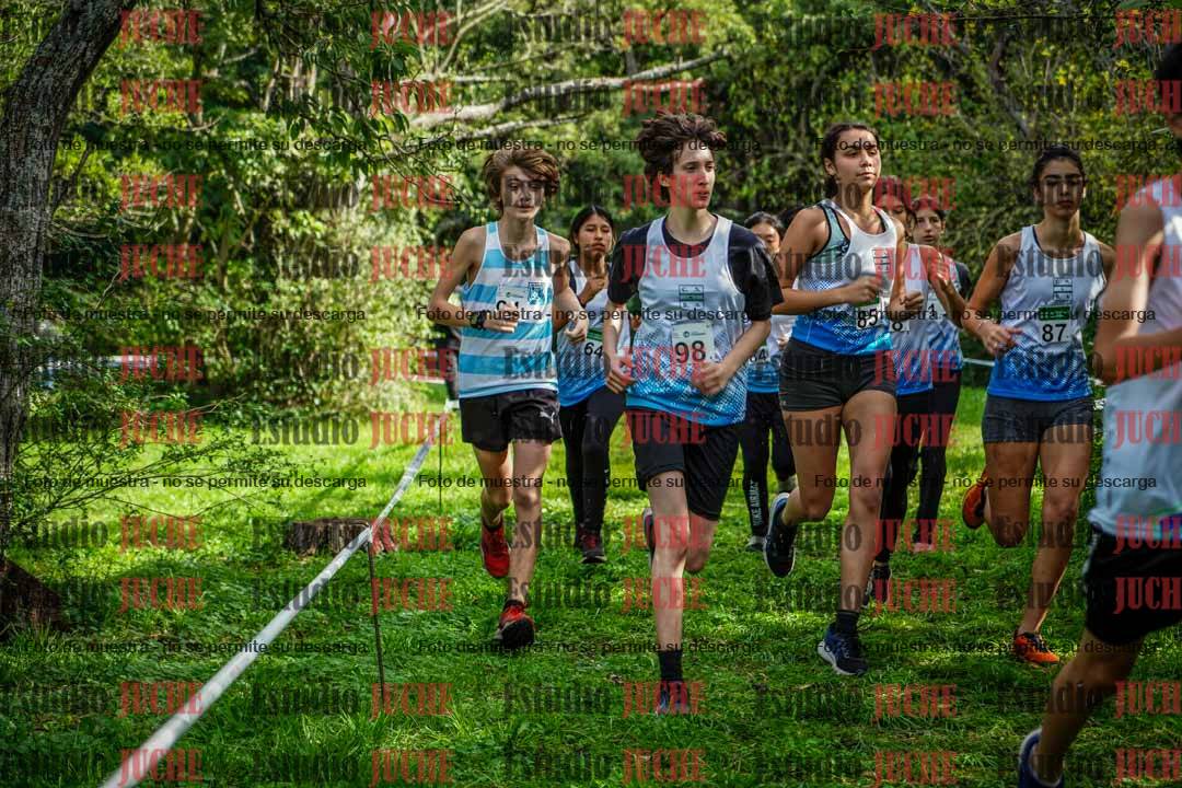 Fotos en el circuito