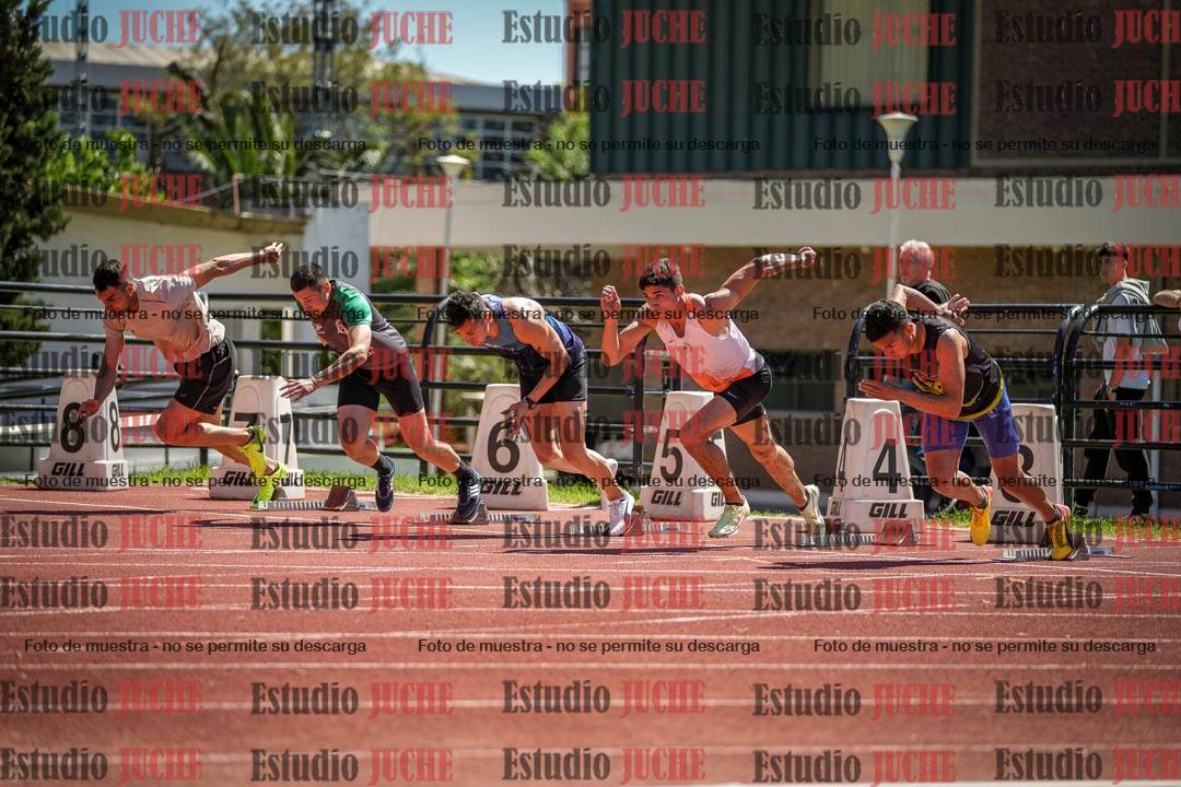 Fotos de los 110 m con vallas de varones