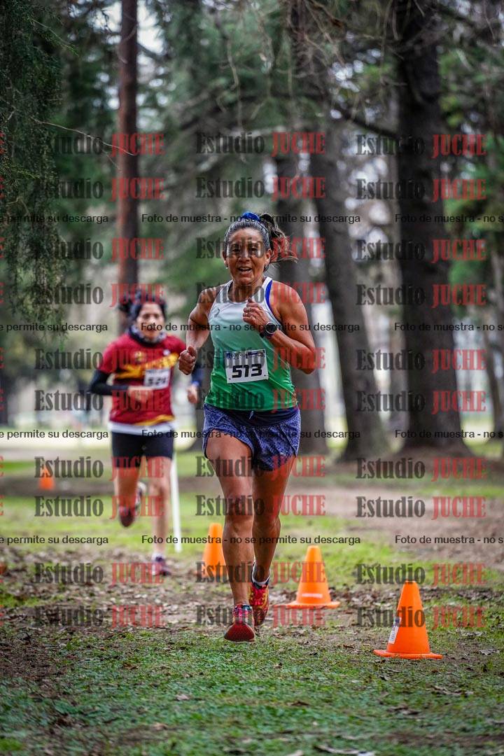 Fotos en el circuito