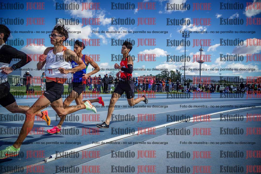 Fotos de los 800 m llanos de varones