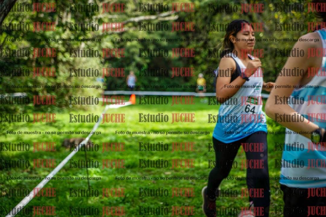 Fotos en el circuito