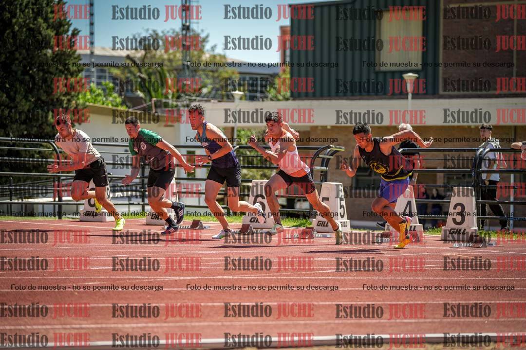 Fotos de los 110 m con vallas de varones