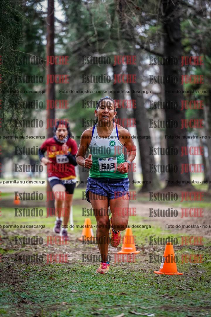 Fotos en el circuito