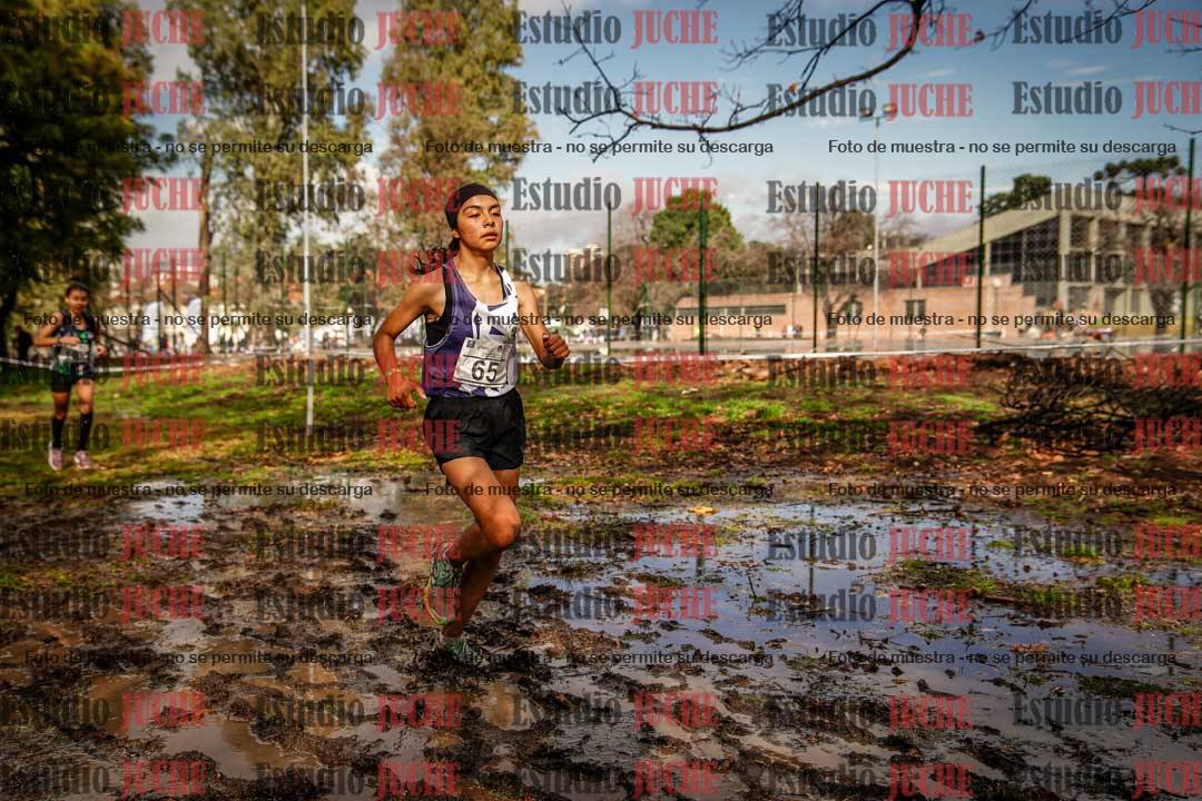 Fotos en el circuito