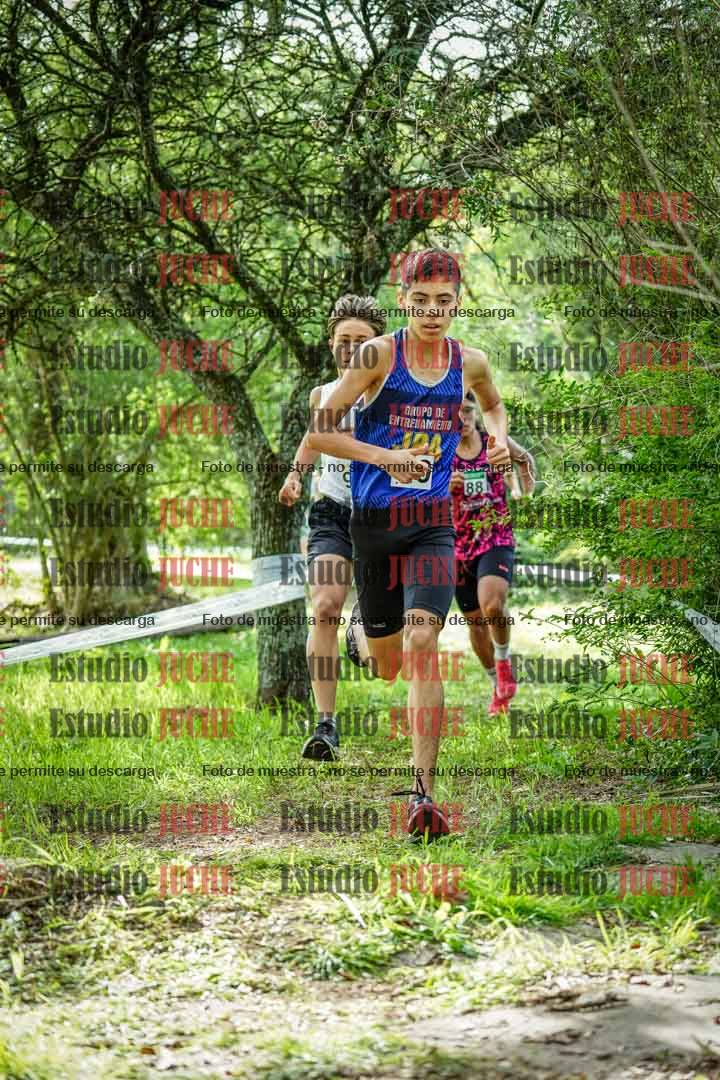 Fotos en el circuito
