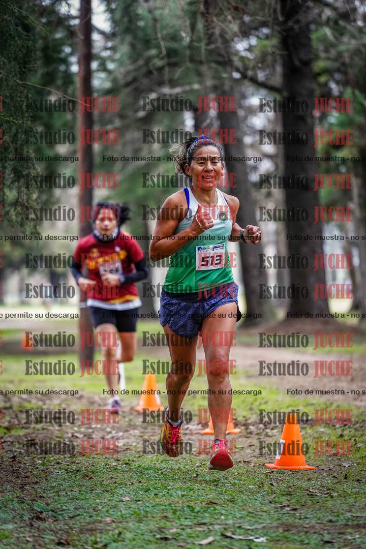 Fotos en el circuito