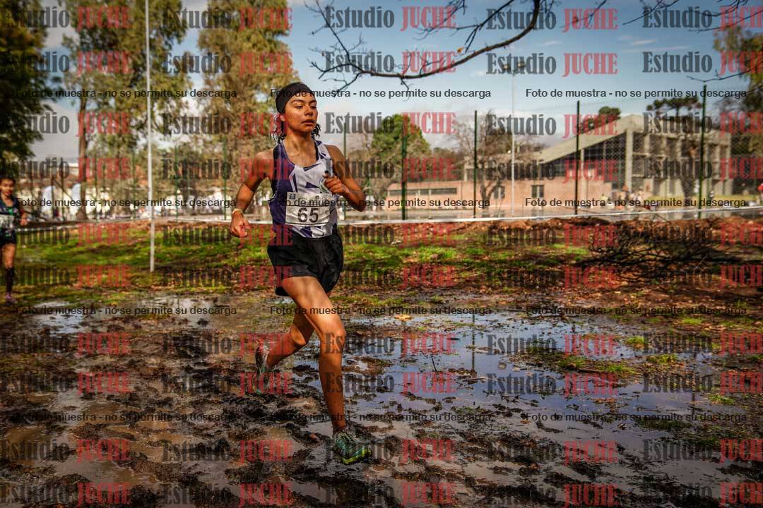 Fotos en el circuito