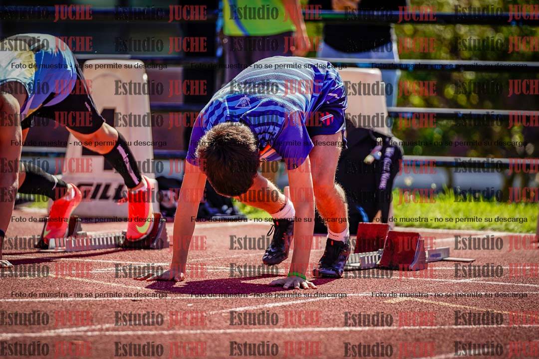 Fotos de los 110 m con vallas de varones