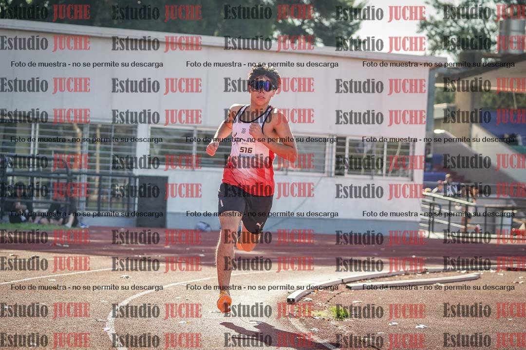 Fotos de los 800 m llanos de varones