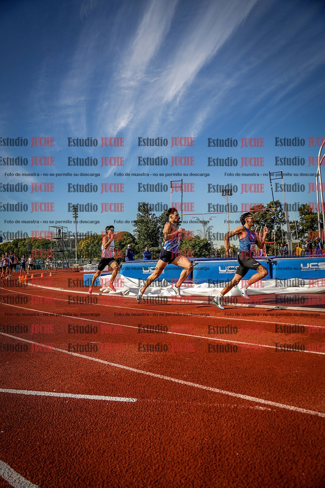 Fotos de los 800 m de varones