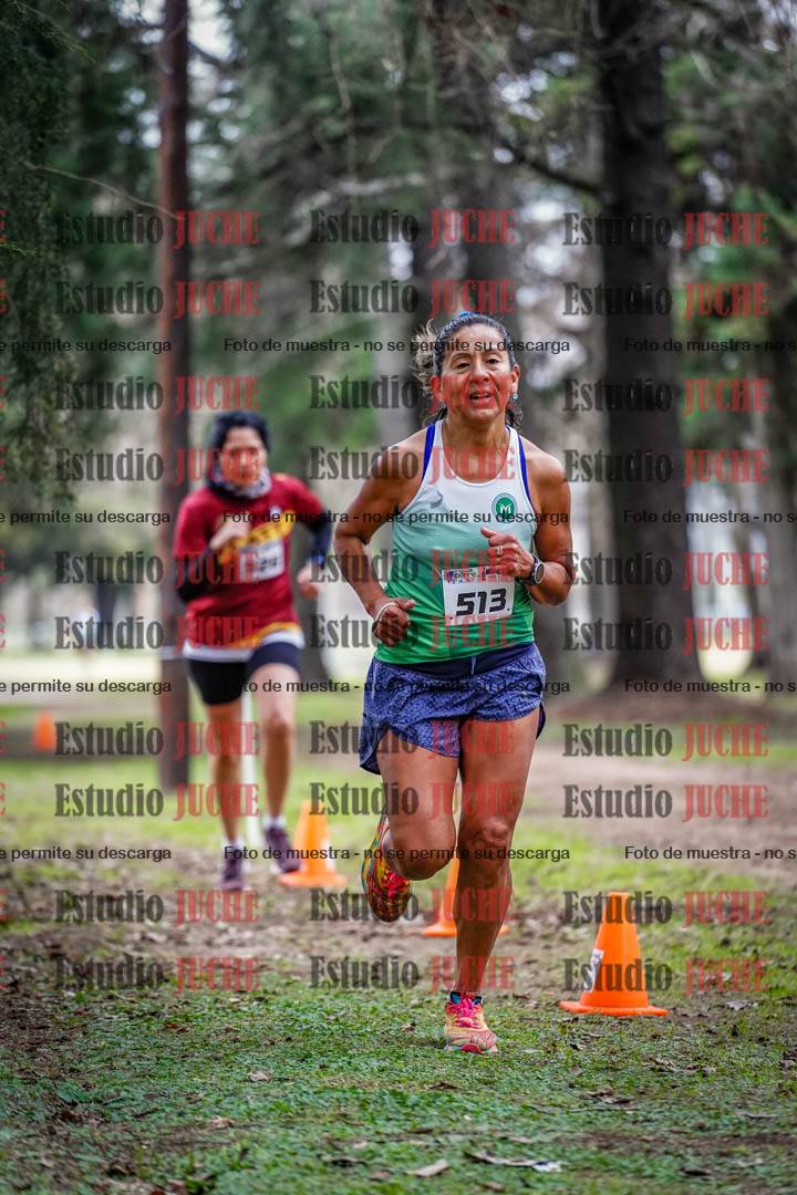 Fotos en el circuito