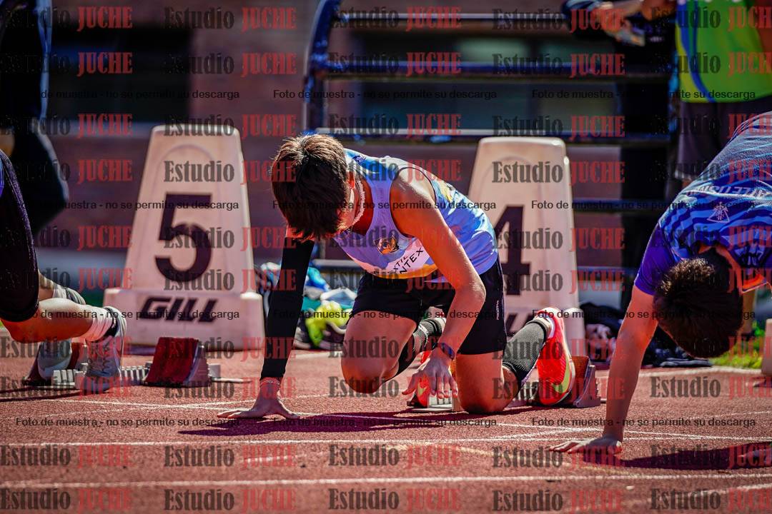 Fotos de los 110 m con vallas de varones