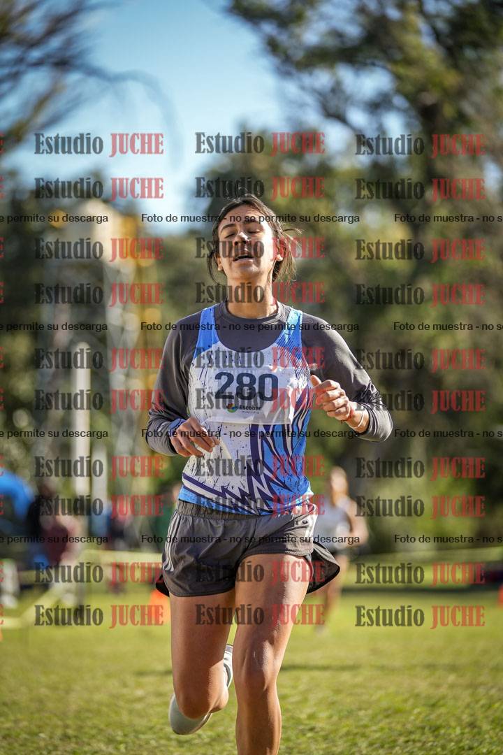 Fotos de la llegada del cross de 3000 m