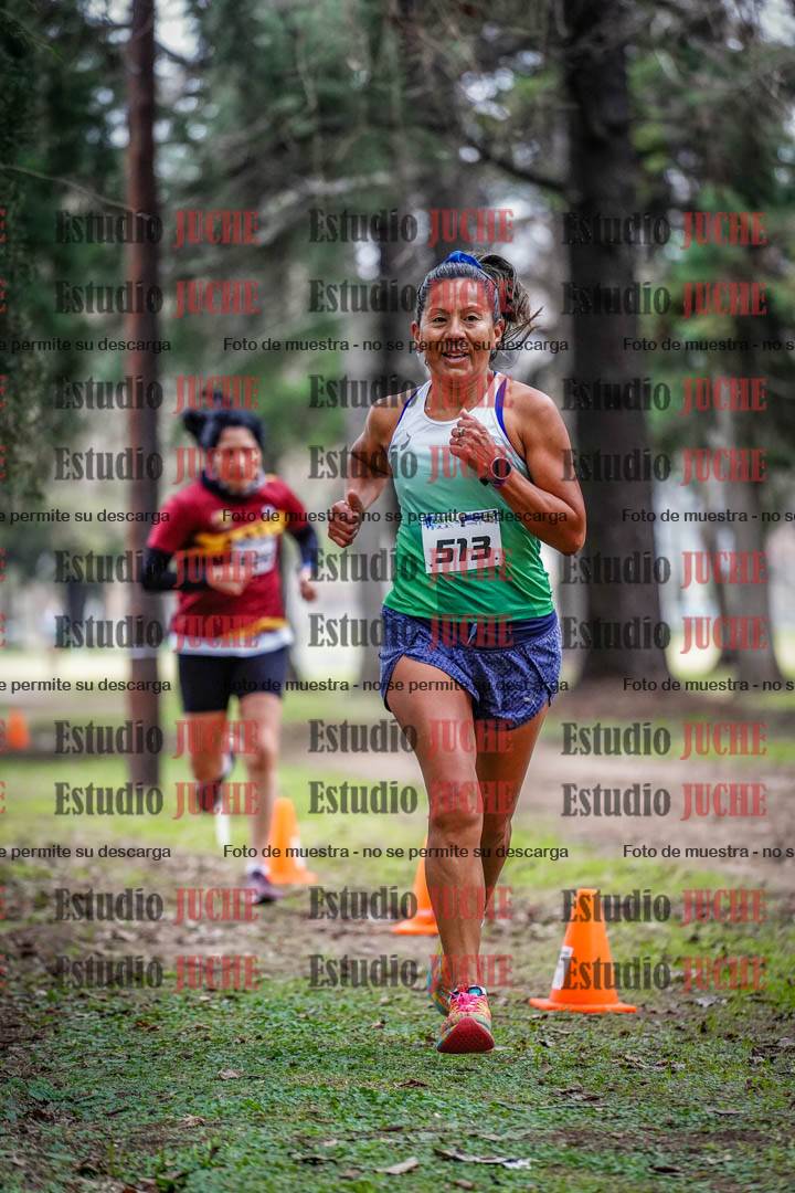 Fotos en el circuito