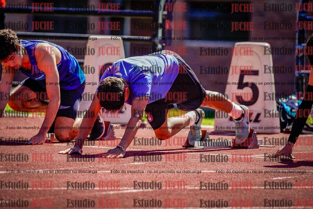 Fotos de los 110 m con vallas de varones