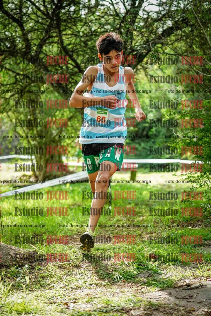 Fotos en el circuito
