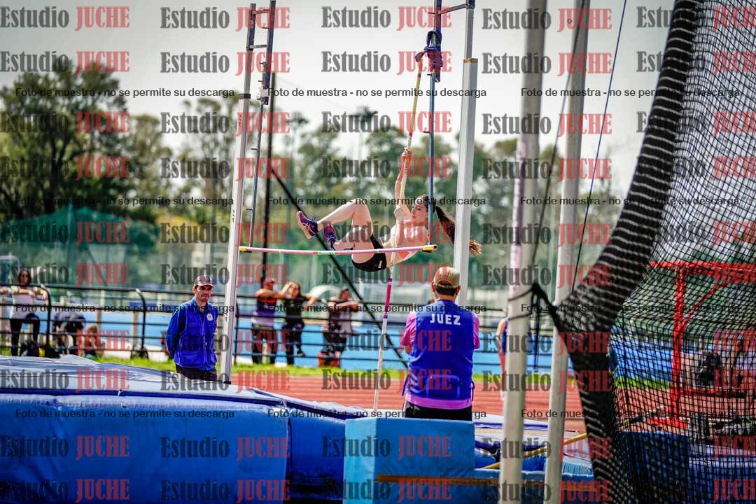 Fotos del salto con garrocha de mujeres y varones