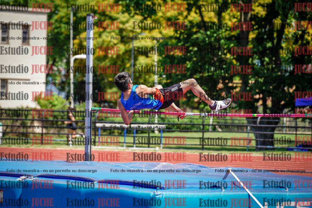 Fotos del salto en alto de varones