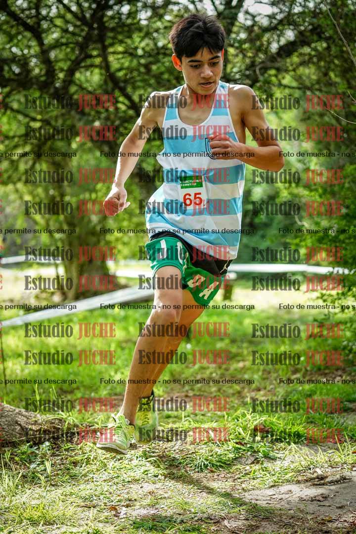 Fotos en el circuito