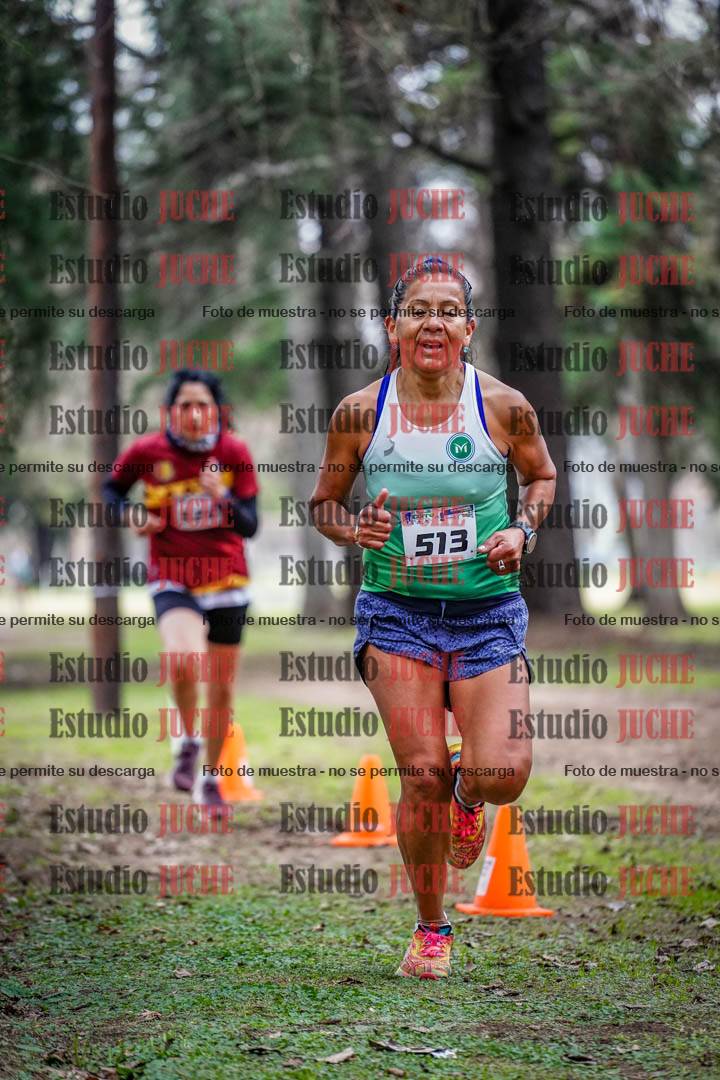 Fotos en el circuito