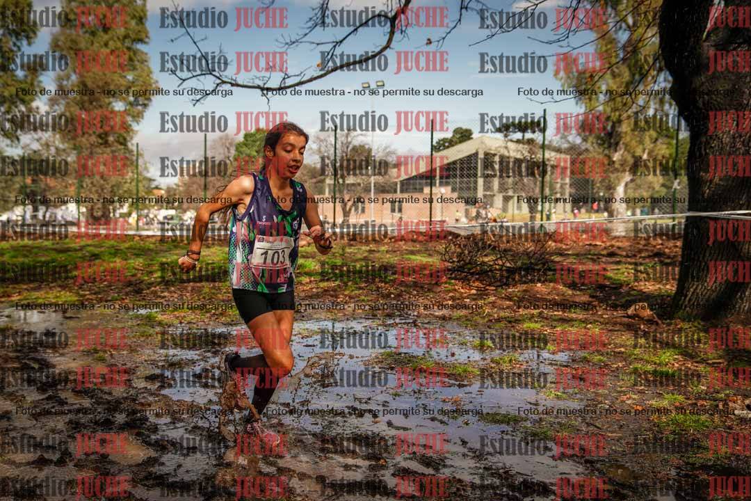 Fotos en el circuito