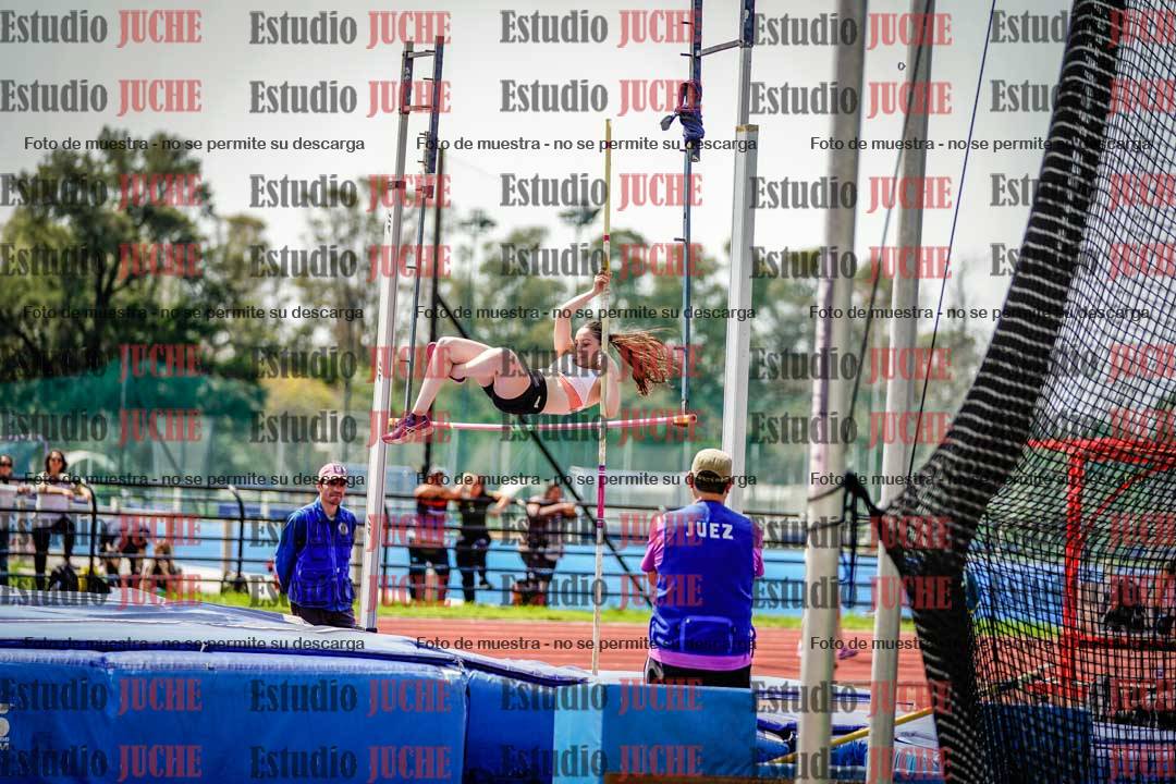 Fotos del salto con garrocha de mujeres y varones