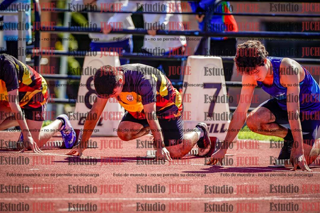Fotos de los 110 m con vallas de varones